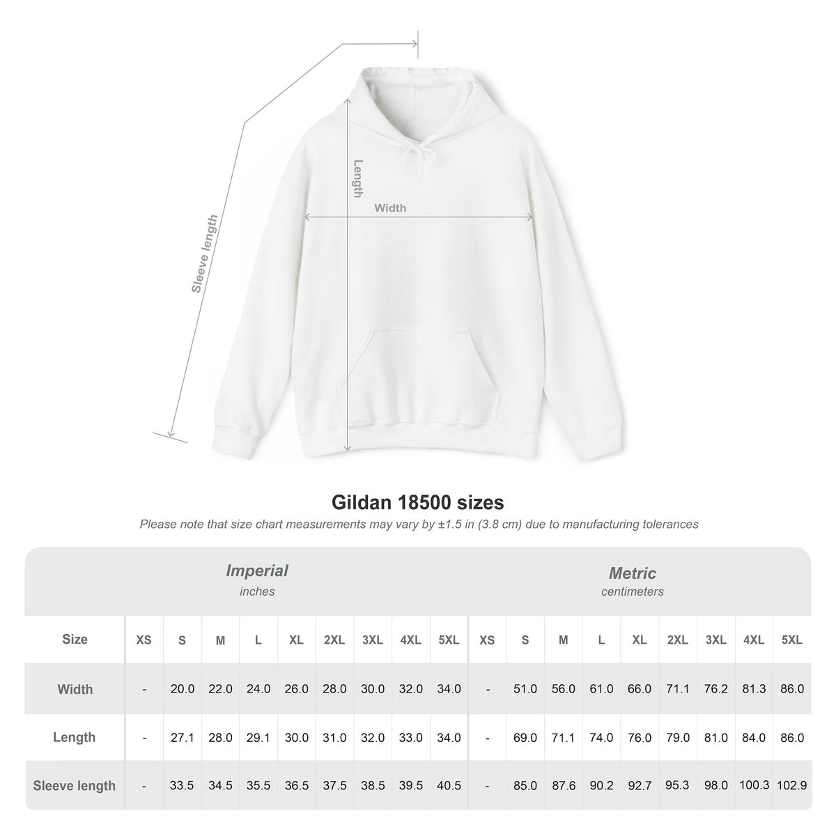 Valkyrie Norse  Graphic Hoodie SYL VNVLVMC